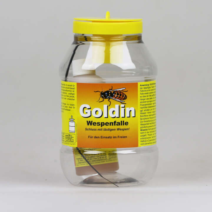 Goldin-Wespenfalle